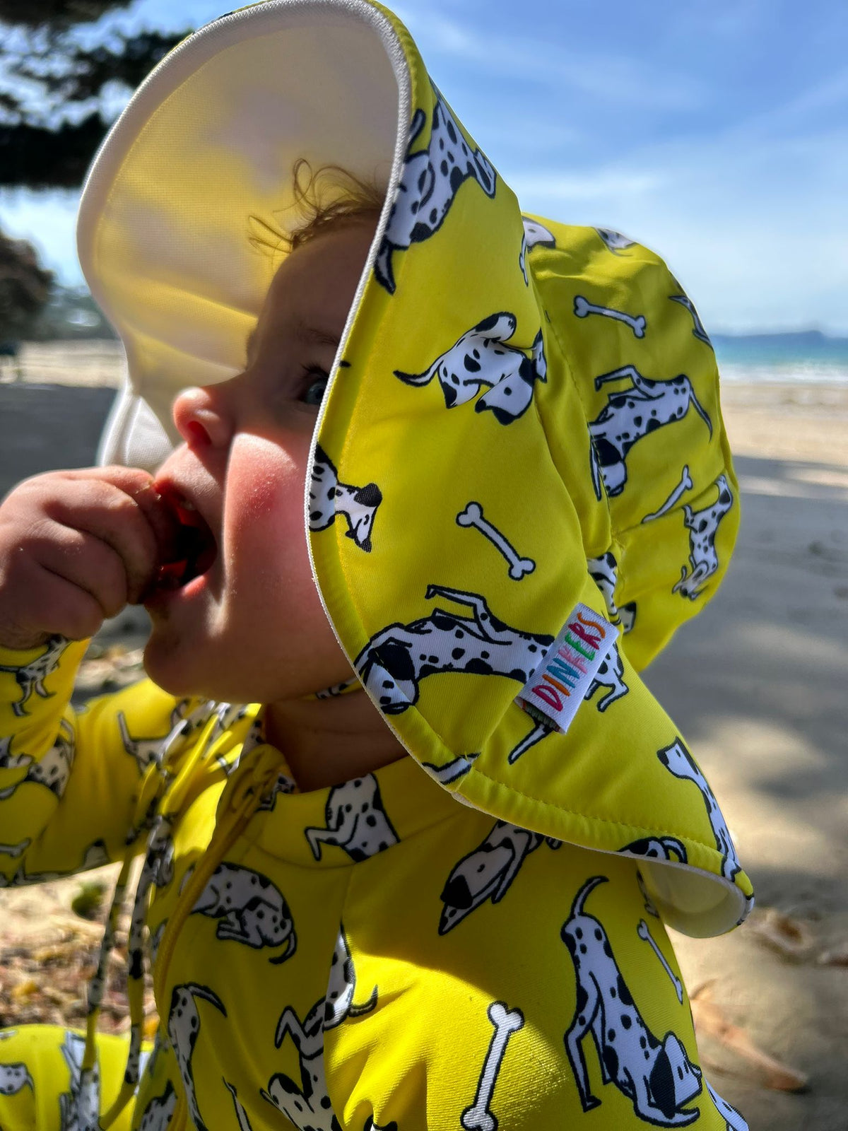 Dotty Dogs Swim Hat